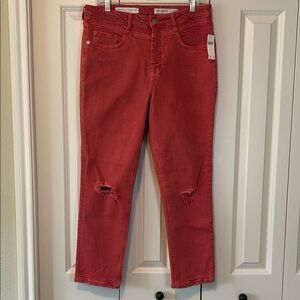 Anthropology Colored Jean